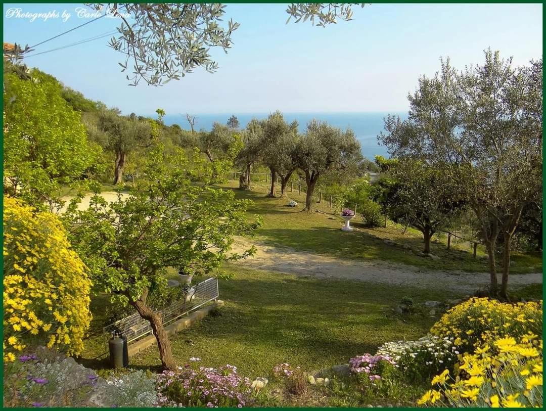 Villa Pierina Finale Ligure Exterior photo