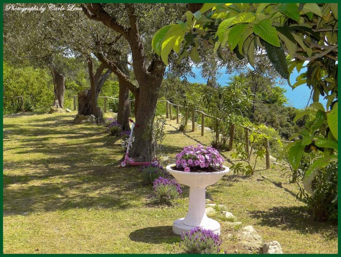 Villa Pierina Finale Ligure Exterior photo