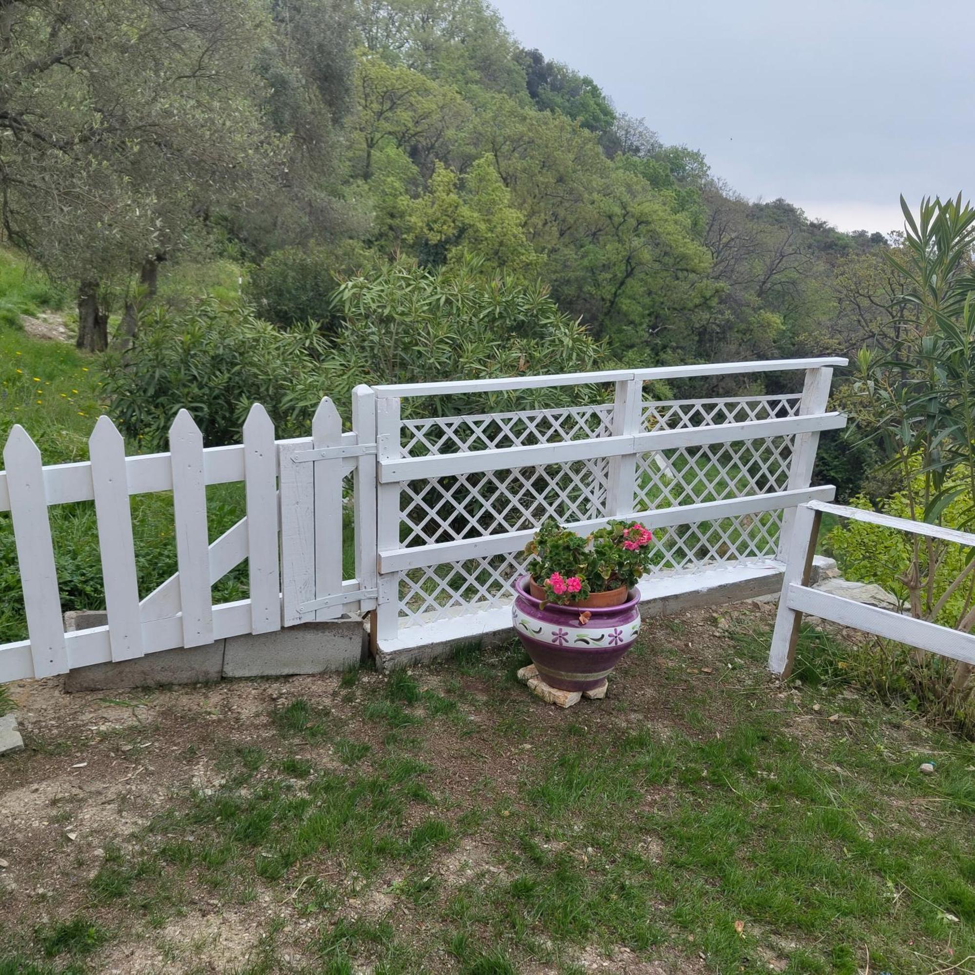 Villa Pierina Finale Ligure Exterior photo